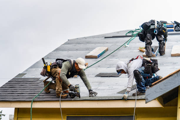 Professional Roofing technician working in Cordova, IL
